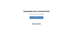Desktop Screenshot of barrylaub.com